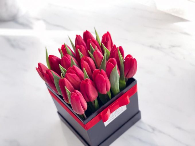 Piros tulipán box