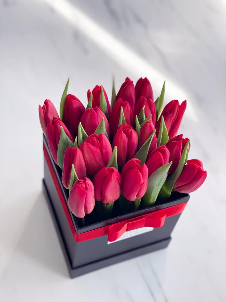 Tulipan box