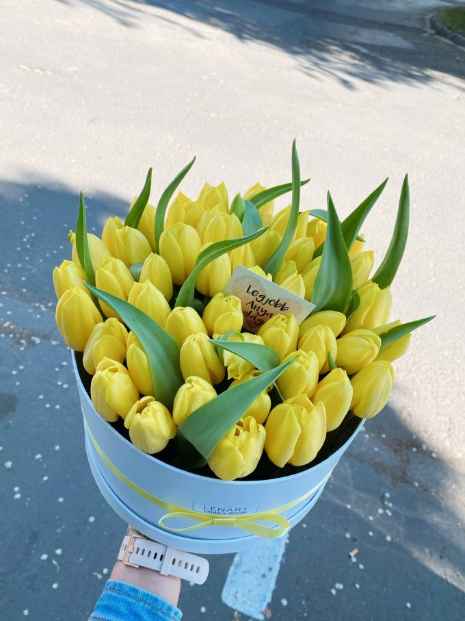 50 szálas tulipán box