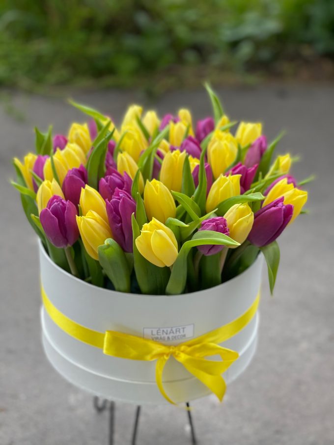 50 szálas tulipán box